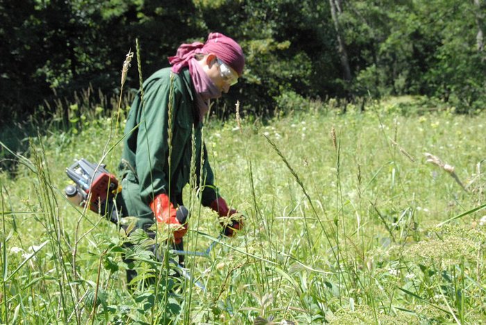 2006 tabor Attis Calypso 79